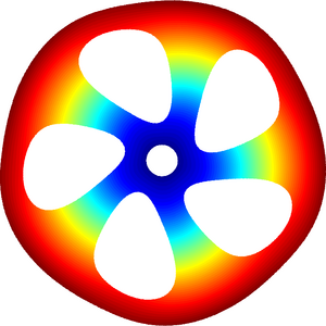 magnified displacement